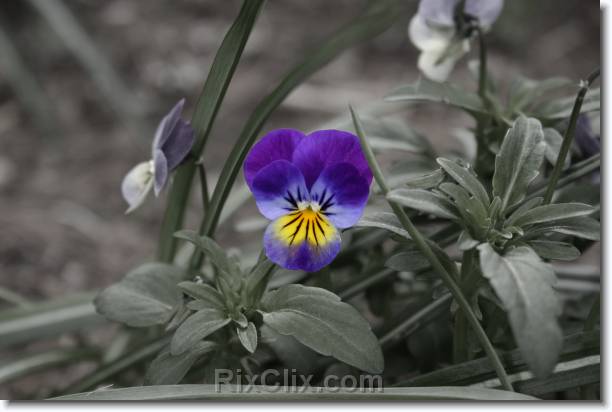 You have reached the last slide